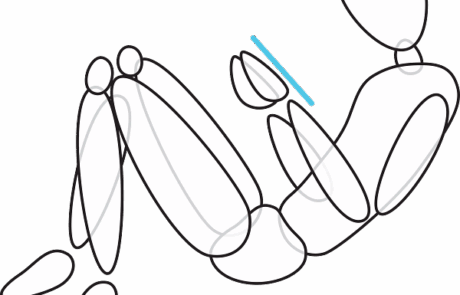 Steelcase Haltungspositionen - Posture