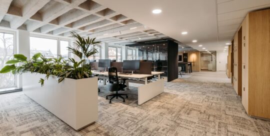 Offene Bürofläche Greystar Frankfurt mit Arbeitsplätzen und Pflanzzone